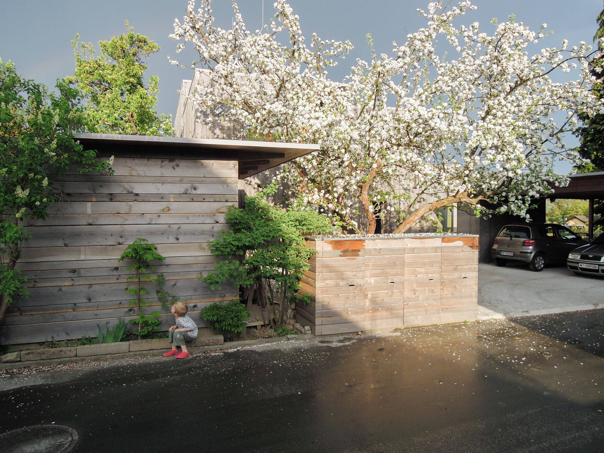 architektun-haus-w-00010